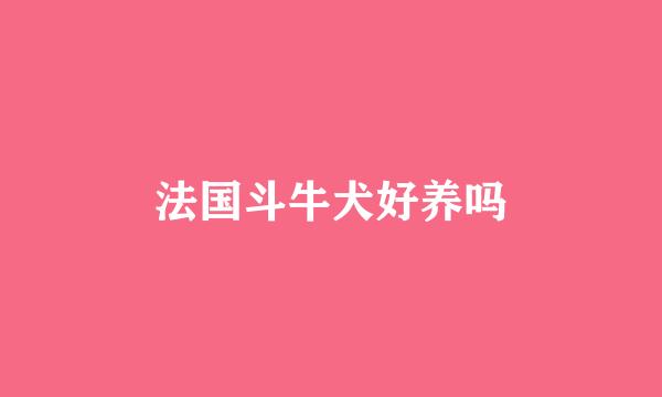 法国斗牛犬好养吗