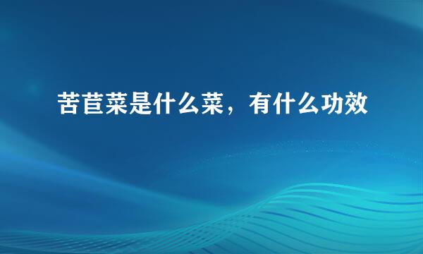 苦苣菜是什么菜，有什么功效