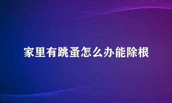 家里有跳蚤怎么办能除根