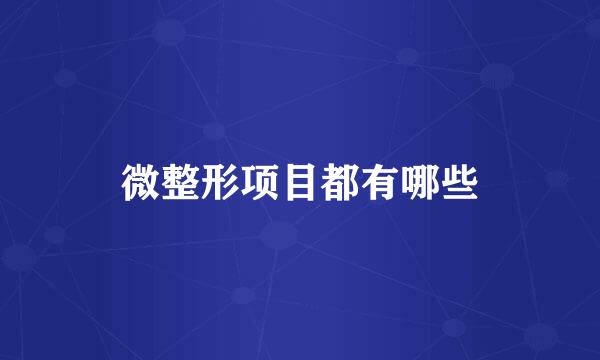 微整形项目都有哪些