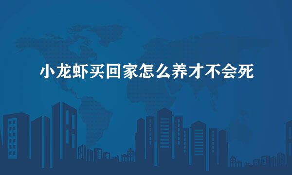 小龙虾买回家怎么养才不会死
