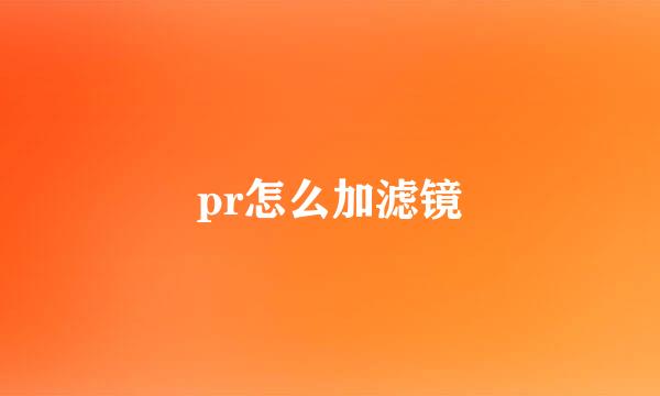 pr怎么加滤镜