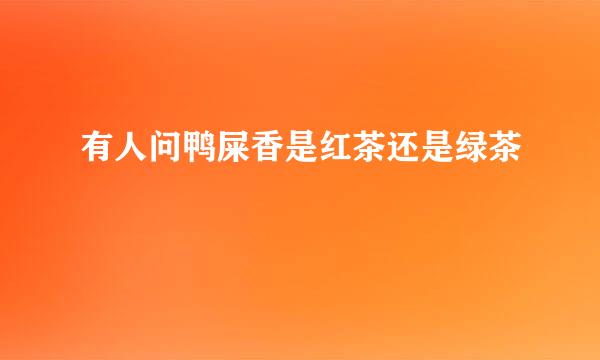有人问鸭屎香是红茶还是绿茶