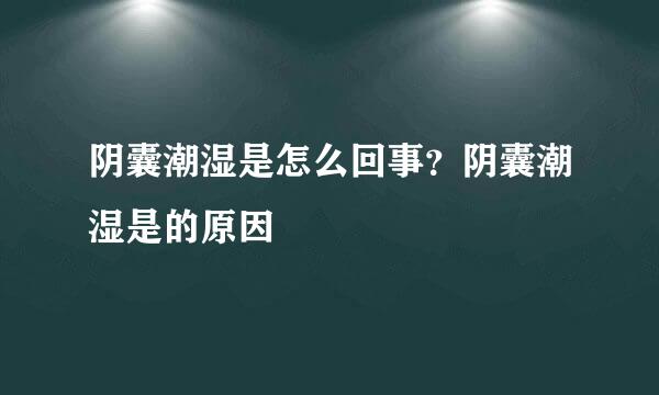 阴囊潮湿是怎么回事？阴囊潮湿是的原因