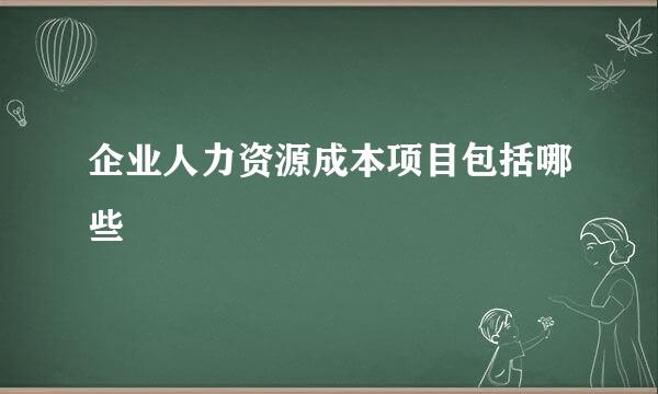 企业人力资源成本项目包括哪些