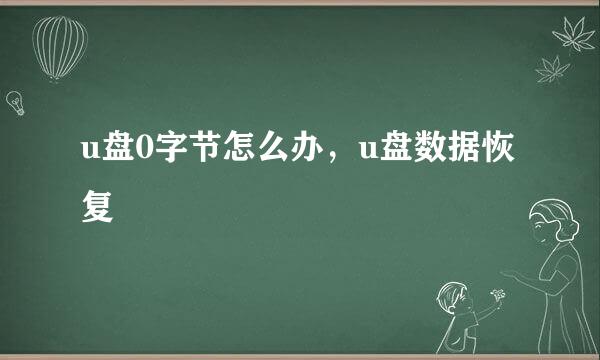 u盘0字节怎么办，u盘数据恢复