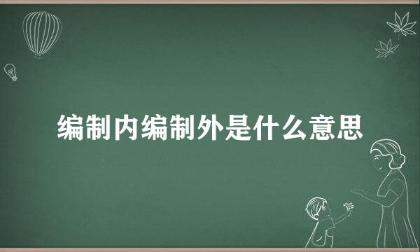 编制内编制外是什么意思