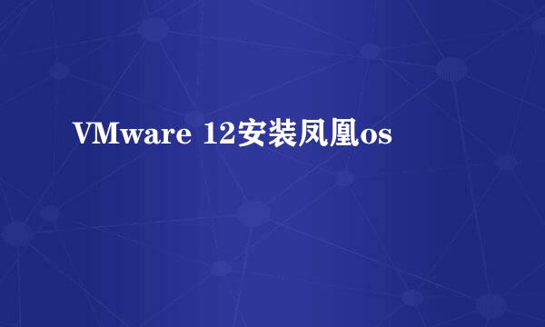 VMware 12安装凤凰os