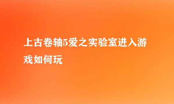 上古卷轴5爱之实验室进入游戏如何玩