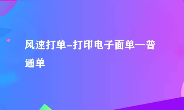 风速打单-打印电子面单—普通单