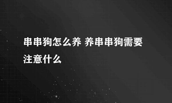 串串狗怎么养 养串串狗需要注意什么