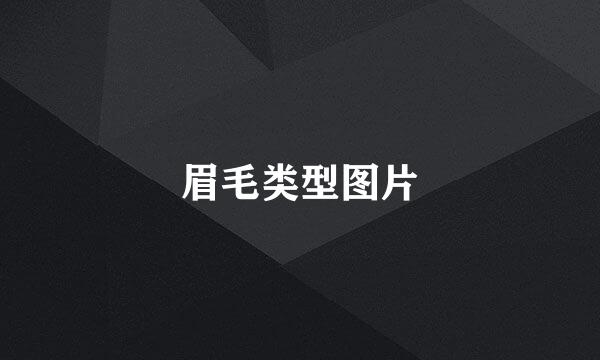 眉毛类型图片