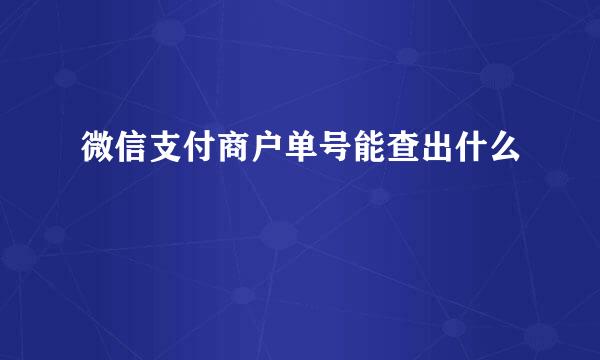 微信支付商户单号能查出什么