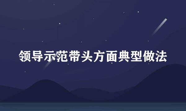 领导示范带头方面典型做法