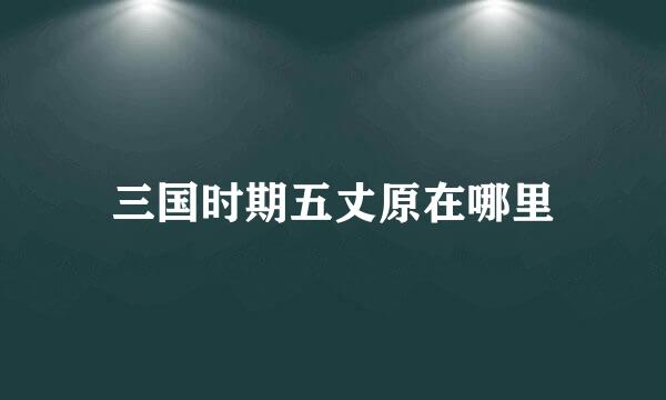 三国时期五丈原在哪里