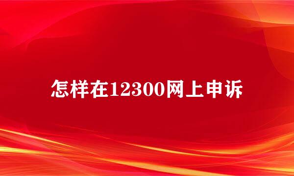 怎样在12300网上申诉