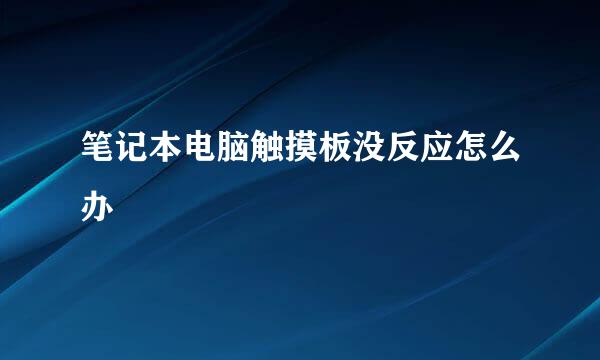 笔记本电脑触摸板没反应怎么办