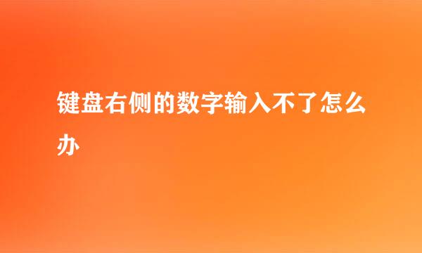 键盘右侧的数字输入不了怎么办