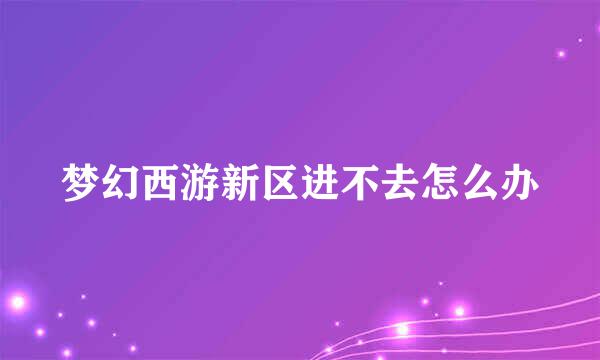 梦幻西游新区进不去怎么办