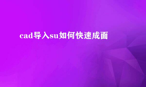 cad导入su如何快速成面