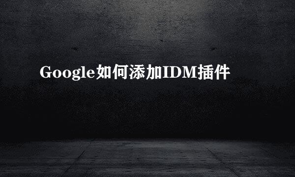 Google如何添加IDM插件