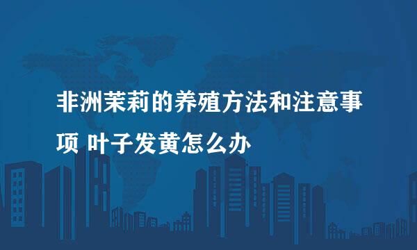 非洲茉莉的养殖方法和注意事项 叶子发黄怎么办
