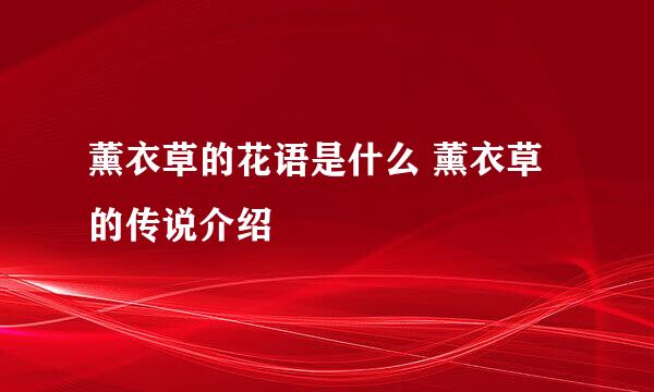 薰衣草的花语是什么 薰衣草的传说介绍