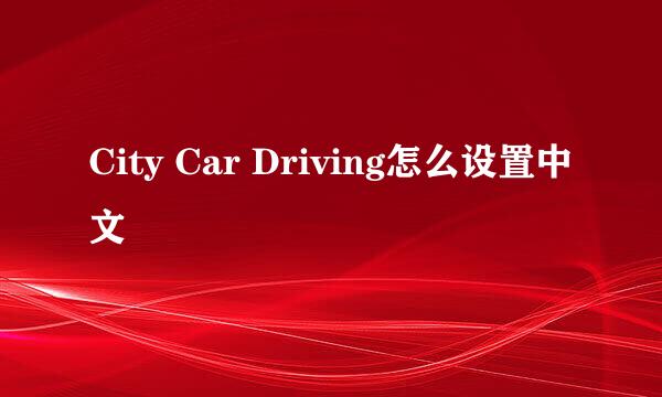 City Car Driving怎么设置中文