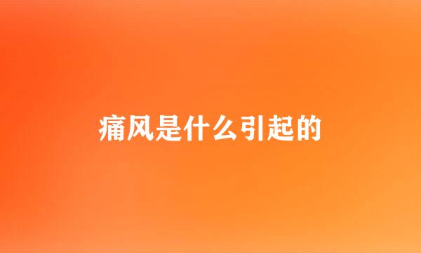 痛风是什么引起的