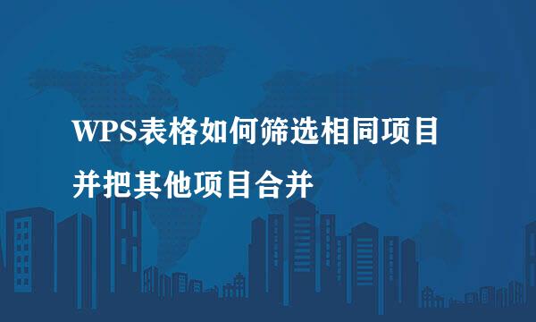 WPS表格如何筛选相同项目并把其他项目合并