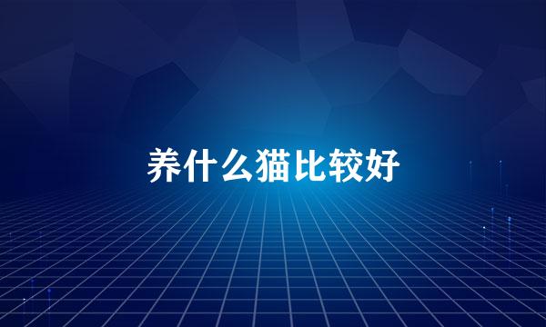 养什么猫比较好