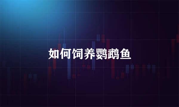 如何饲养鹦鹉鱼
