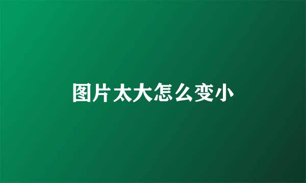 图片太大怎么变小