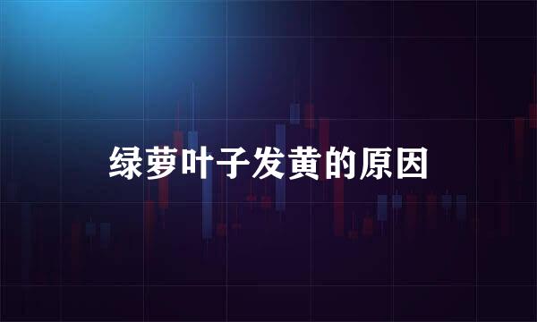 绿萝叶子发黄的原因