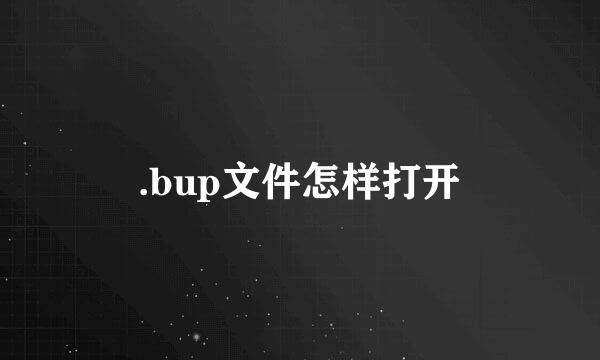 .bup文件怎样打开