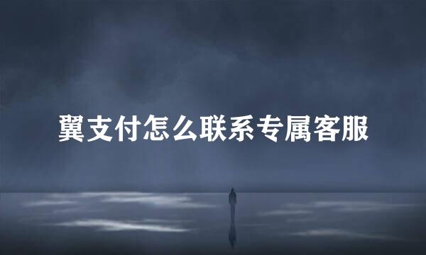 翼支付怎么联系专属客服