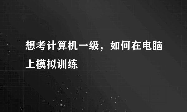 想考计算机一级，如何在电脑上模拟训练