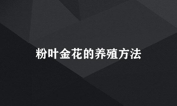 粉叶金花的养殖方法
