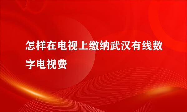 怎样在电视上缴纳武汉有线数字电视费
