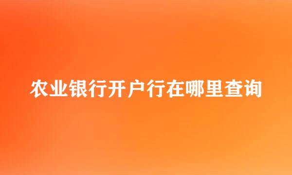 农业银行开户行在哪里查询