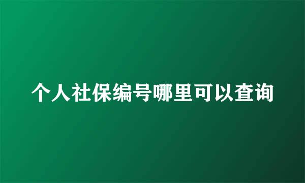 个人社保编号哪里可以查询