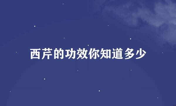 西芹的功效你知道多少