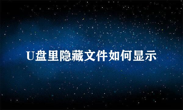U盘里隐藏文件如何显示