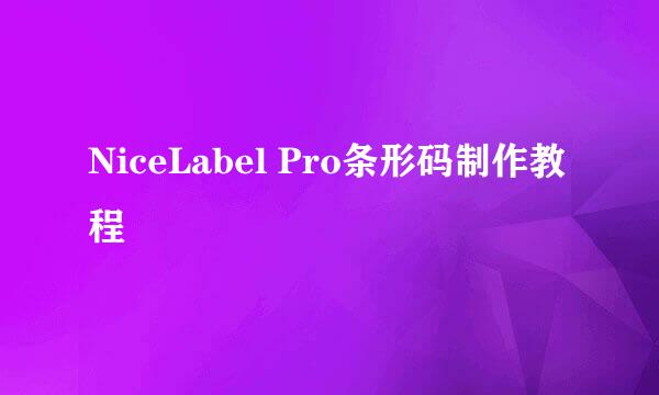 NiceLabel Pro条形码制作教程