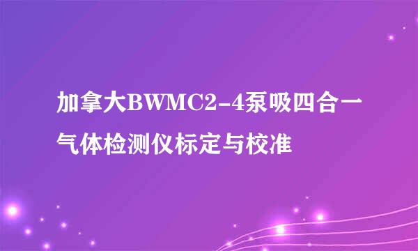 加拿大BWMC2-4泵吸四合一气体检测仪标定与校准