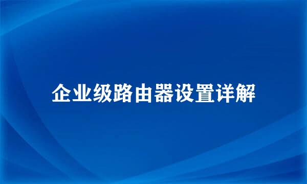 企业级路由器设置详解