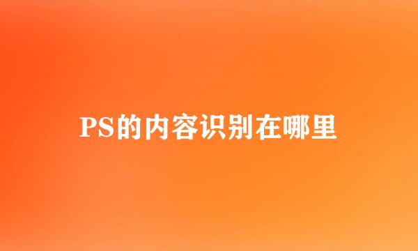 PS的内容识别在哪里