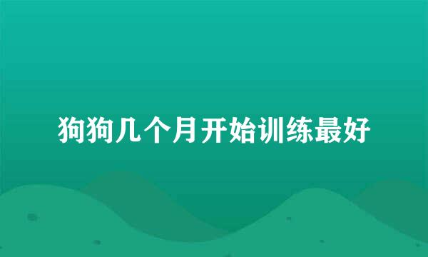 狗狗几个月开始训练最好