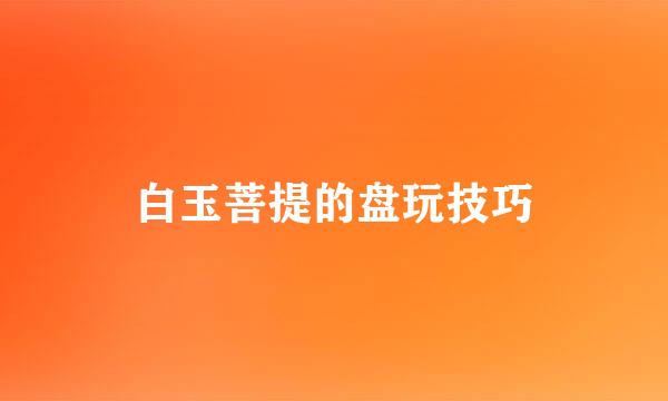 白玉菩提的盘玩技巧