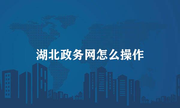 湖北政务网怎么操作